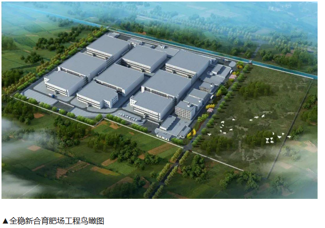 全穩(wěn)集團(tuán)新合保育育肥場